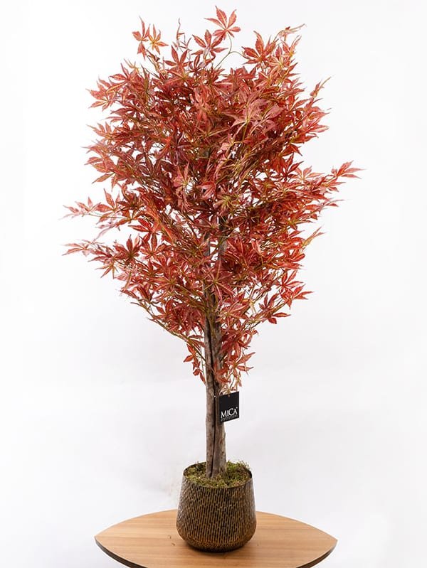 Dekoratif Maple Tree - Yapay (160 cm) — görsel 1